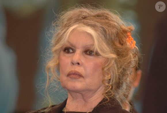 L'actrice a été touchée de plein fouet par les intempéries qui se sont abattues sur le Var
 
Archives - Brigitte Bardot le 1er juin 2011 à Paris.