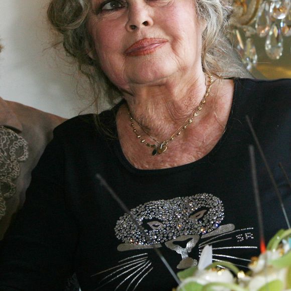 Archives - Brigitte Bardot lors des 20 ans de la Fondation Brigitte Bardot à Paris, le 28 septembre 2006.