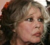 "L'eau, poussée par la pluie incessante, s'est infiltrée dans chaque recoin du jardin", explique-t-elle 
 
Archives - Brigitte Bardot célébre les 20 ans de sa fondation pour les animaux le 28 septembre 2006 au théatre Marigny.