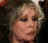 Le cauchemar de Brigitte Bardot à La Madrague
 
Archive - Brigitte Bardot.