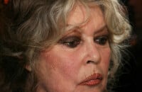 Brigitte Bardot : Son refuge de la Madrague endommagé, "je n'avais jamais vu ça"