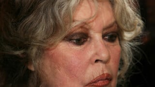 Brigitte Bardot : Son refuge de la Madrague endommagé, "je n'avais jamais vu ça"