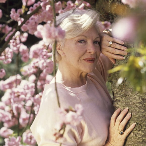 Qui a eu 96 ans cet été
En France, à Rueil-Malmaison, rendez-vous avec Line RENAUD dans le jardin de son domicile "LA JONCHERE", s'appuyant contre le tronc d'un cerisier en fleurs, offert par MICHEL AUDIARD. Avril 1989 © Alain Canu via Bestimage