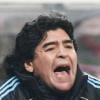Diego Maradona, mordu au visage par un de ses chiens et opéré le mardi 30 mars 2010