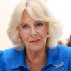 La mise en retrait de la reine Camilla prolongée, la famille royale encore fragilisée malgré une bonne nouvelle