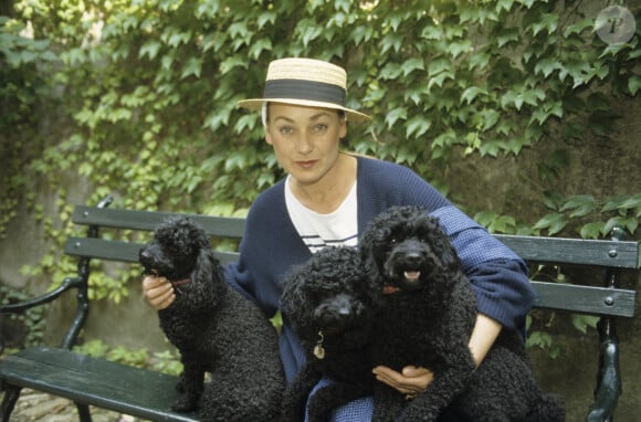 Décès - Geneviève Grad ("Le gendarme de Saint-Tropez") est décédée à l'âge de 80 ans - En France, dans sa maison de Vendôme, Geneviève Grad, en extérieur dans le jardin, assise sur un banc avec ses chiennes de race caniche Dolly tania et Doriane.