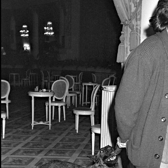 Archive - Alain Delon à Deauville