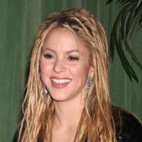 Quand Shakira retrouve Sean Penn trois mois après le drame...