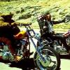 Easy Rider de Dennis Hopper