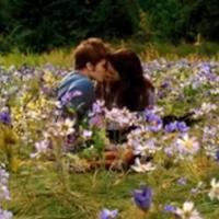 Twilight 3 : Regardez le nouveau clip romantique de Metric et découvrez le cachet faramineux des stars !