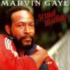 Marvin Gaye - Sexual Healing - 1882