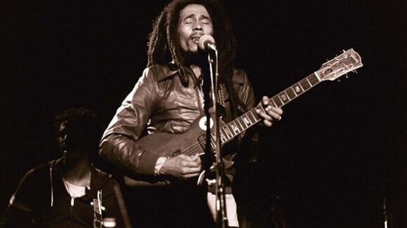 Bob Marley : Comment ses fils ont-ils perpétué l'héritage musical ?