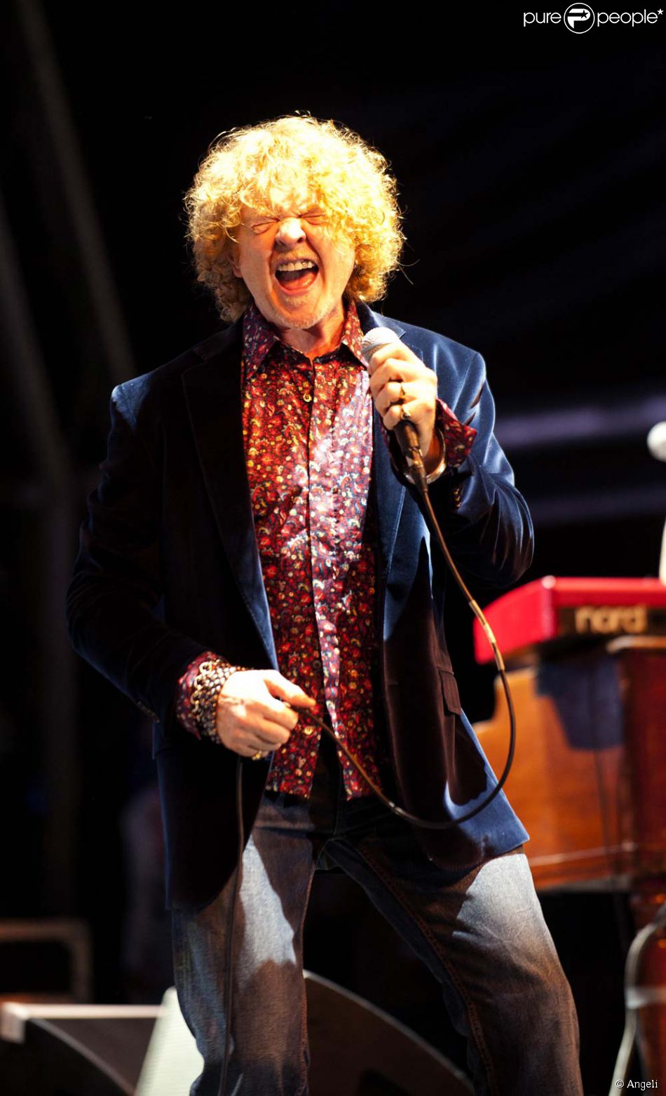 Festival Vintage at Greenwood, le 13 août 2010 : Mick Hucknall - Purepeople