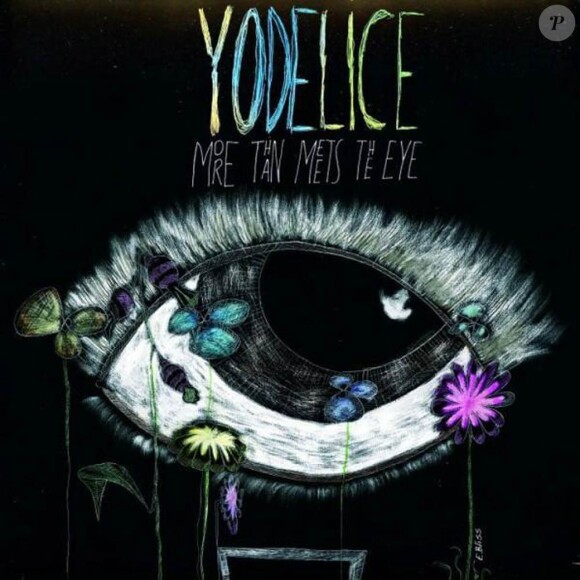 Yodelice poursuit son parcours triomphal entamé avec Tree of Life et dévoilait en octobre 2010 l'album Cardioid, sur lequel figure le titre haletant Breathe in.
