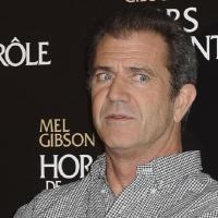 Mel Gibson : Il admet avoir giflé son ex Oksana...