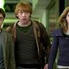 Daniel Radcliffe, Rupert Grint et Emma Watson dans Harry Potter et les Reliques de la mort - partie I