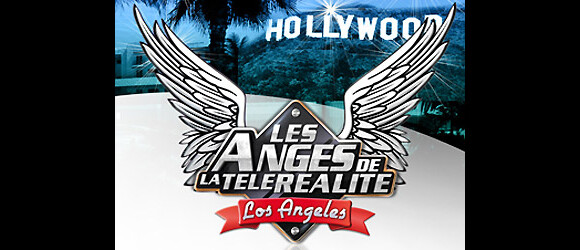 L'émission Les Anges de la Télé-Réalité était diffusée quotidiennement sur NRJ 12 jusqu'au vendredi 18 février 2011.