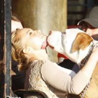Hayden Panettiere : En mal de reconnaissance, elle embrasse un gros chien !