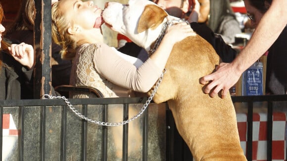 Hayden Panettiere : En mal de reconnaissance, elle embrasse un gros chien !