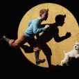 Le film  Tintin , tourné avec de vrais acteurs puis remodélisé, s'annonce comme un film phare de la fin d'année ! 