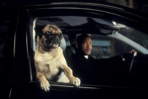 Ce soir sur W9 à 20h40, retrouvez le film à succès Men in Black, avec Will Smith et un chien sacrément bavard !