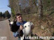 L'amour est dans le pré 6 : Jean-Michel est de retour... avec une chèvre !