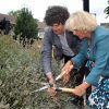 La duchesse Camilla Parker-Bowles dans sa tournée des jardins dans la ville, à Londres, le 6 septembre 2011.