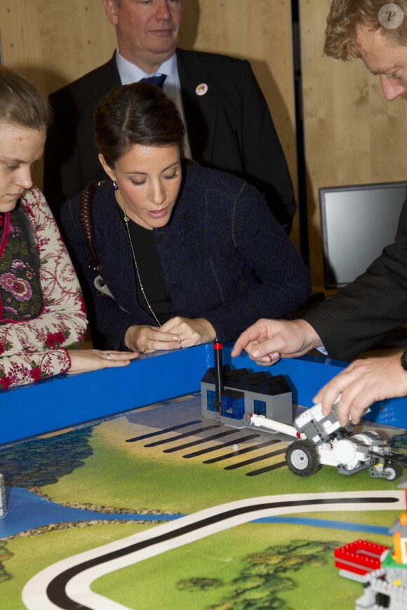 La princesse Marie, enceinte de six mois, visitait le 14  novembre 2011 à Copenhague un centre d'éducation spécialisé pour les  personnes atteintes d'autisme. L'épouse de Joachim est marraine de  l'association danoise de l'autisme.
