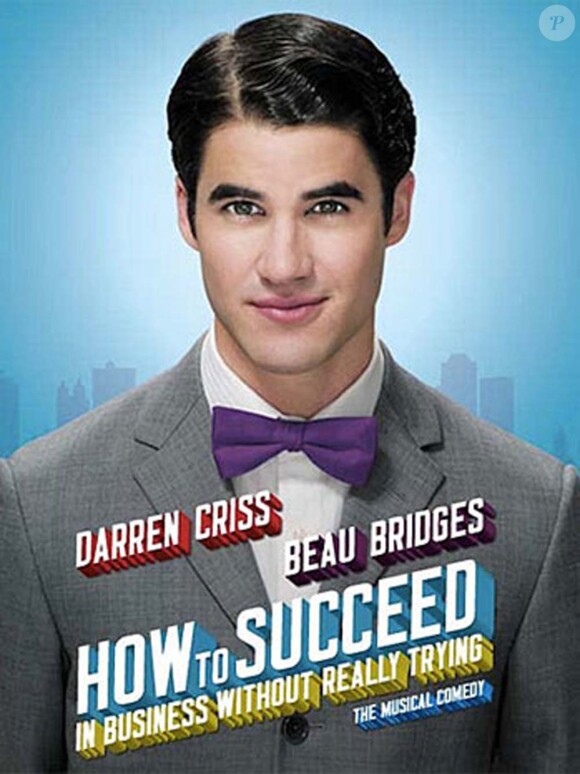 Darren Criss reprendra le rôle principal de la comédie musicale How to succeed in business without really trying, en janvier 2012.