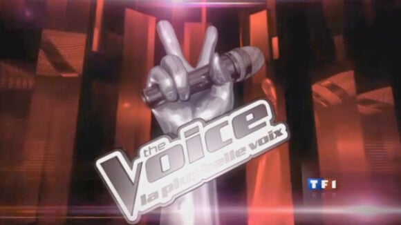 The Voice : Le dernier juré du télé-crochet enfin trouvé ?