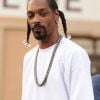 Snoop Dogg a été arrêté le week-end des 7 et 8 janvier 2012 dans le Texas, en possession de plusieurs grammes de marijuana.