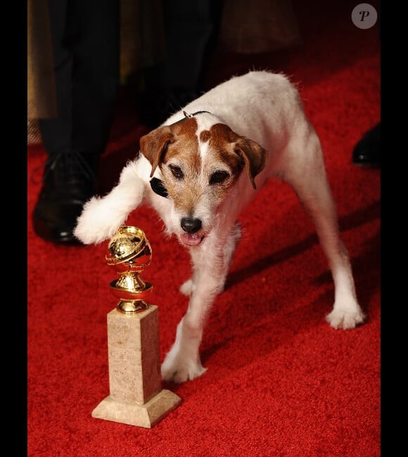 Le chien de The Artist lors des Golden Globe Awards à Beverly Hills le 15 janvier 2012