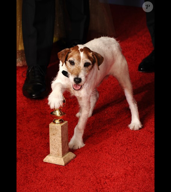 Le chien de The Artist lors des Golden Globe Awards à Beverly Hills le 15 janvier 2012