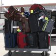 Les treize valises de Katherine Heigl et des membres de sa famille à l'aéroport de Los Angeles, le 21 janvier 2012.