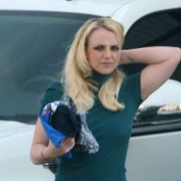 Britney Spears s'occupe de ses fils pour regagner sa liberté