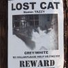 Kirsten Dunst et Garrett Hedlund ont accroché des affiches dans les rues de Los Angeles, pour retrouver Tazzy