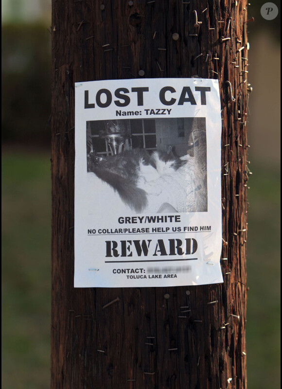 Kirsten Dunst et Garrett Hedlund ont accroché des affiches dans les rues de Los Angeles, pour retrouver Tazzy
