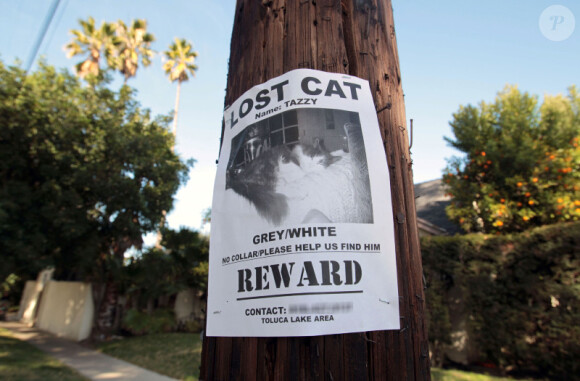 Kirsten Dunst et son supposé petit-ami Garrett Hedlund ont accroché des affiches dans les rues de Los Angeles, pour retrouver le chat de l'actrice