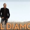 Neil Diamond, Love on the Rocks