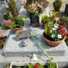 La tombe de Romy Schneider au cimetière de Boissy-sans-Avoir dans les Yvelines. Elle est recouverte de fleurs le 27 mai 2012, soit trente ans après sa disparition