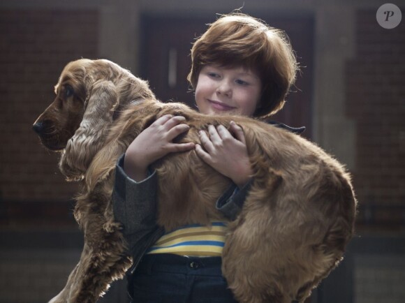 Image du film Boule & Bill avec Charles Crombez et un chien attachant