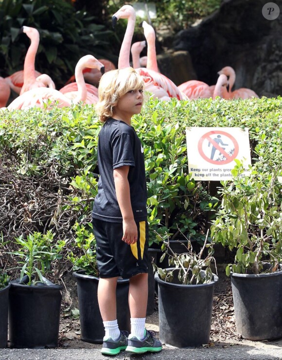 Kingston Rossdale en visite au Zoo à Los Angeles, le 9 juin 2012.