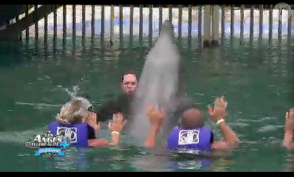 Visite des dauphins dans Les Anges de la télé-réalité 4 le jeudi 28 septembre 2012 sur NRJ 12