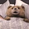 Image du film Ted de Seth MacFarlane