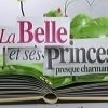 La Belle et ses princes presque charmants, diffusé sur W9.