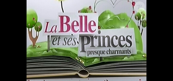 La Belle et ses princes presque charmants, diffusé sur W9.