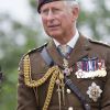 Le prince Charles de Galles, colonel en chef du régiment de parachutistes, à Staffordshire pour une cérémonie d'inauguration de deux sculptures hommages à l'oeuvre du régiment et de l'agence gouvernementale GCHQ, le 13 juillet 2012.