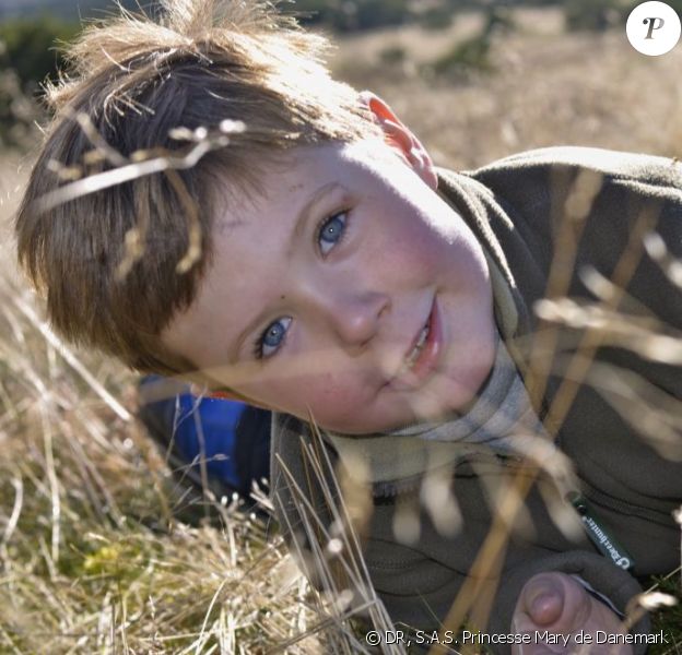 Le prince Christian de Danemark au naturel dans un portrait officiel pour son 7e anniversaire, le 15 octobre 2012