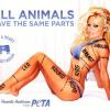 Pamela Anderson a posé aussi pour PeTA.