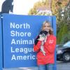 Denise Richards en pleine visite de la "North Shore Animal League America" à Port Washington le 9 novembre 2012.